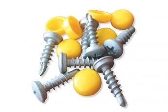 Nummerplaatschroeven met afdek kapjes